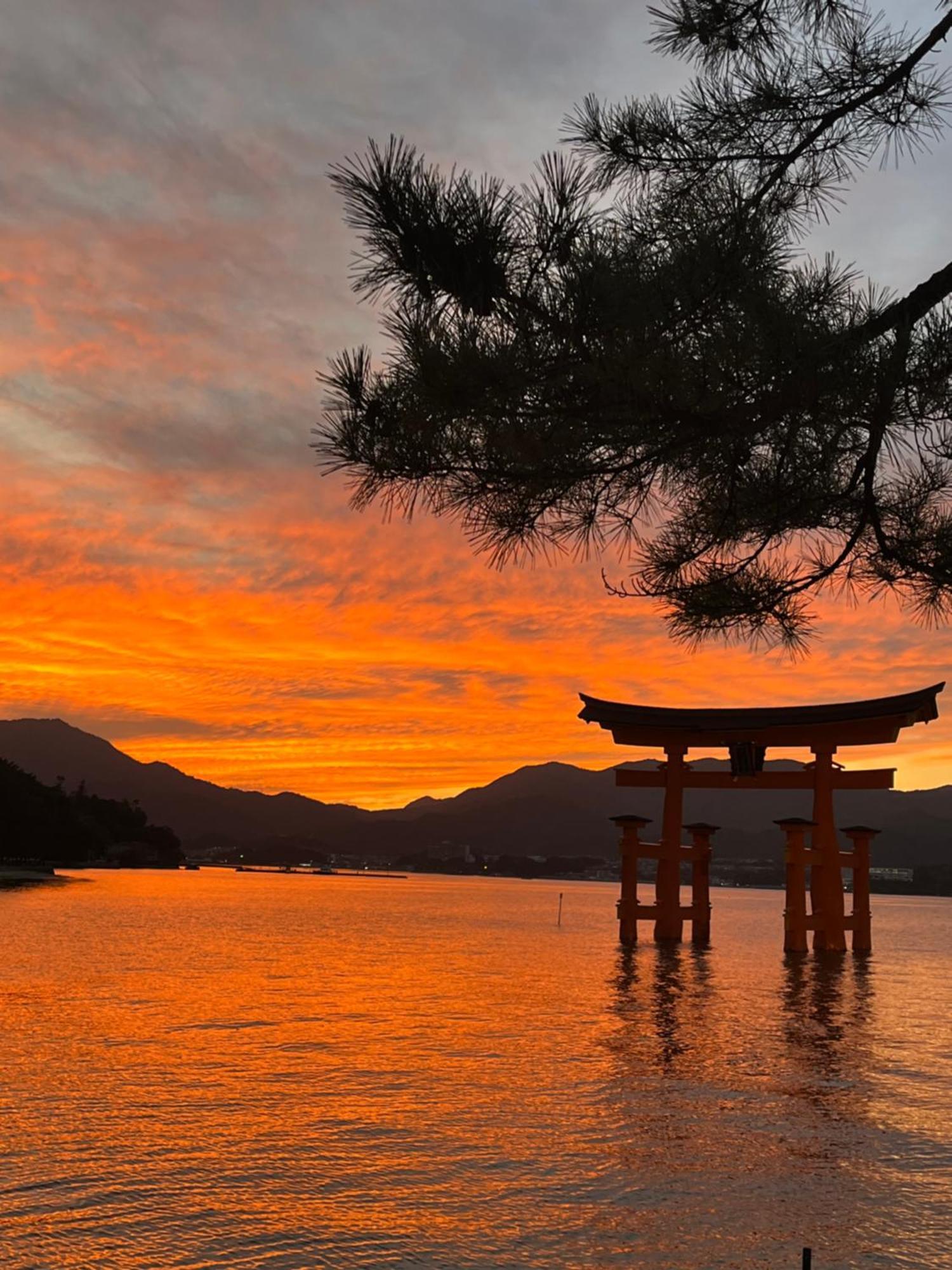 宮島 町家宿 進龍庵 Hatsukaichi Buitenkant foto